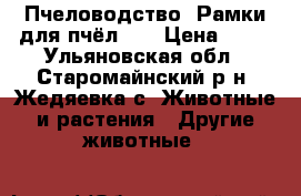 Пчеловодство. Рамки для пчёл... › Цена ­ 16 - Ульяновская обл., Старомайнский р-н, Жедяевка с. Животные и растения » Другие животные   